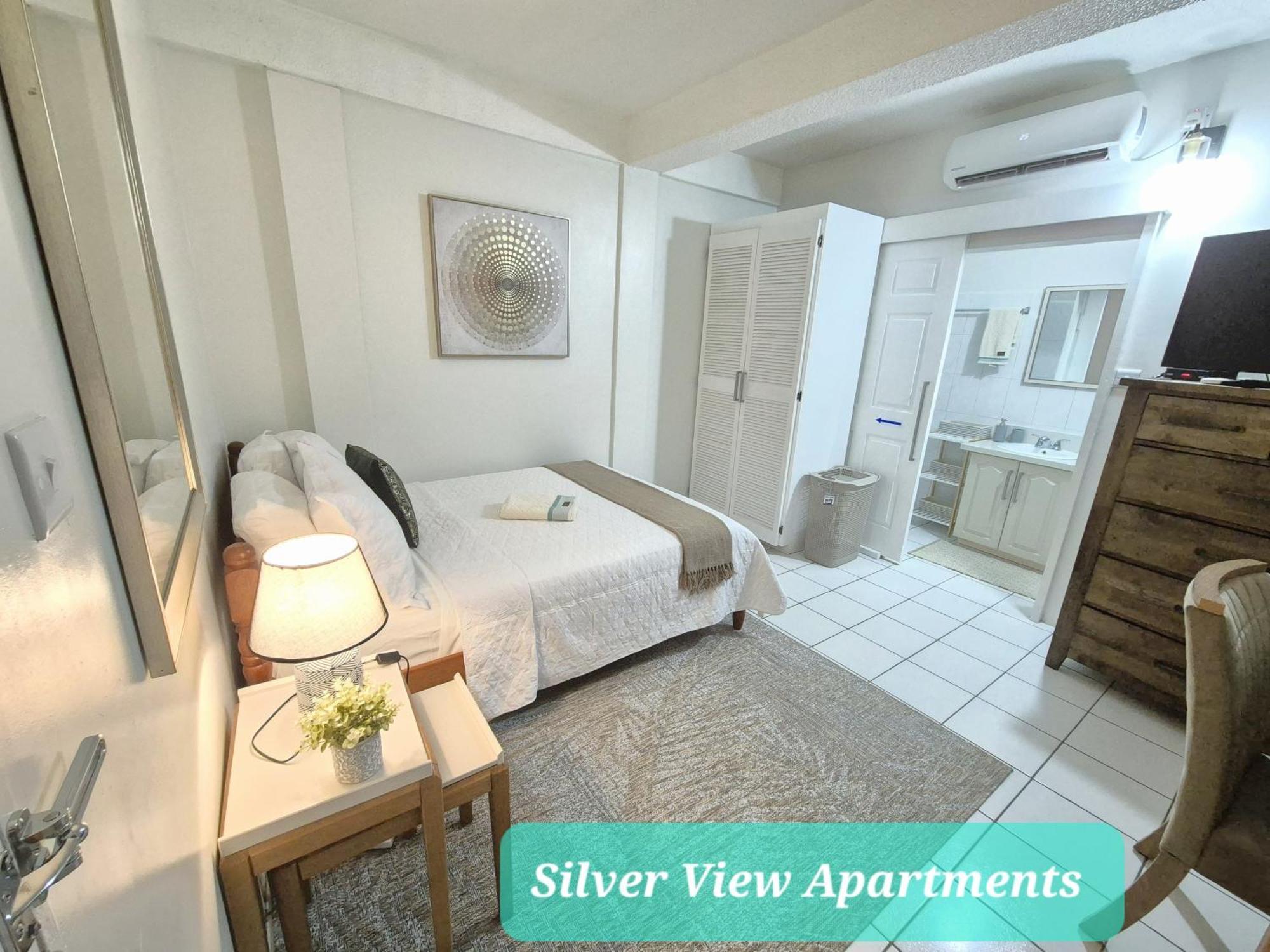 Silver View Apartments St. George's Eksteriør billede